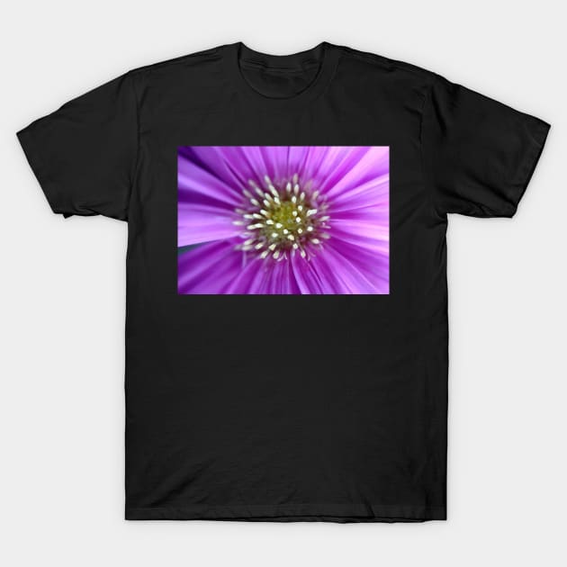 Purple Sun T-Shirt by KatieSchutteArt